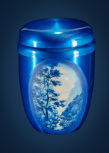 12010302 синий-3200