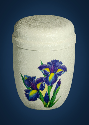 12010901 ирисы-2100