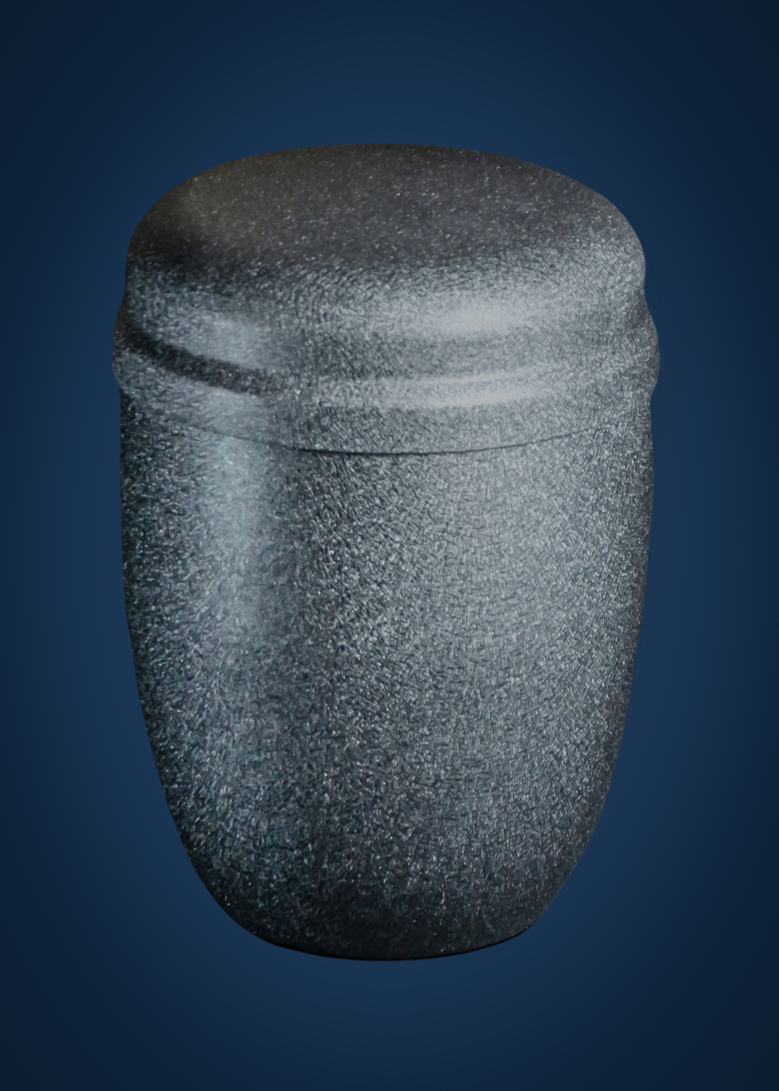 12010402 черный-1300