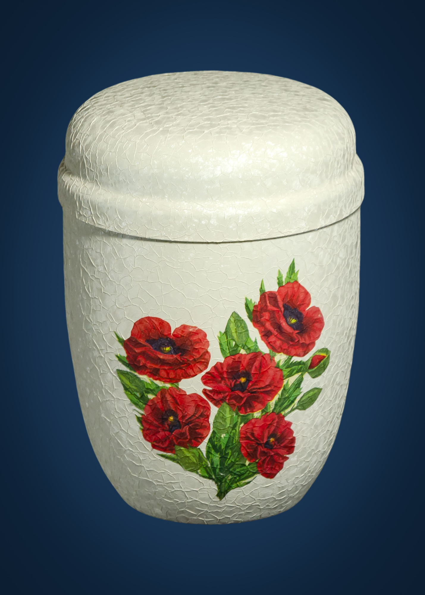 12010901 маки-2100