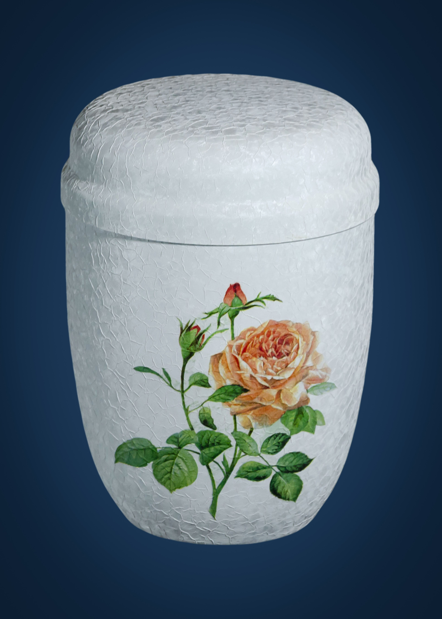 12010901 роза персиковая-2100